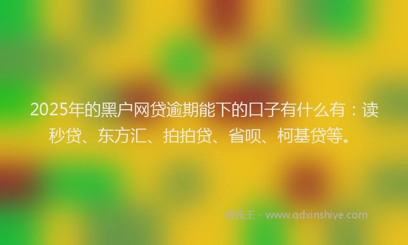 2025年的黑户网贷逾期能下的口子有什么有：读秒贷、东方汇、拍拍贷、省呗、柯基贷等。
