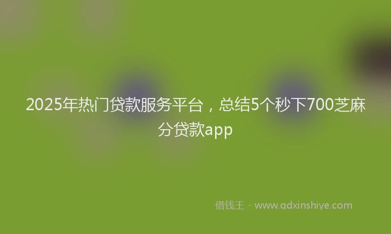 2025年热门贷款服务平台，总结5个秒下700芝麻分贷款app