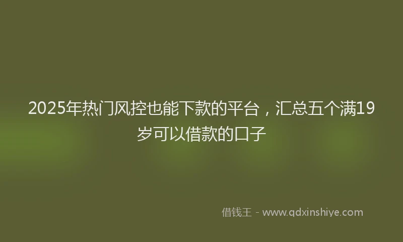 2025年热门风控也能下款的平台，汇总五个满19岁可以借款的口子