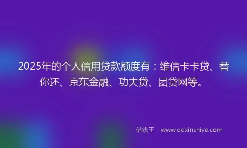 2025年的个人信用贷款额度有：维信卡卡贷、替你还、京东金融、功夫贷、团贷网等。
