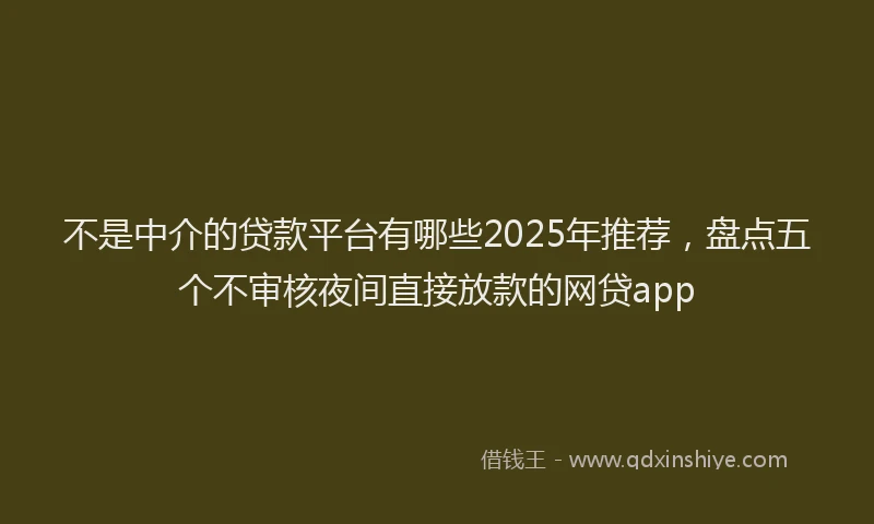 不是中介的贷款平台有哪些2025年推荐，盘点五个不审核夜间直接放款的网贷app