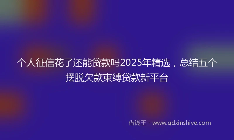 个人征信花了还能贷款吗2025年精选，总结五个摆脱欠款束缚贷款新平台