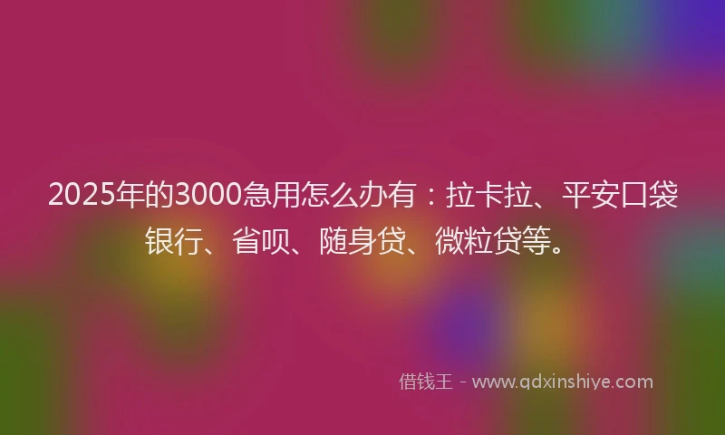2025年的3000急用怎么办有：拉卡拉、平安口袋银行、省呗、随身贷、微粒贷等。