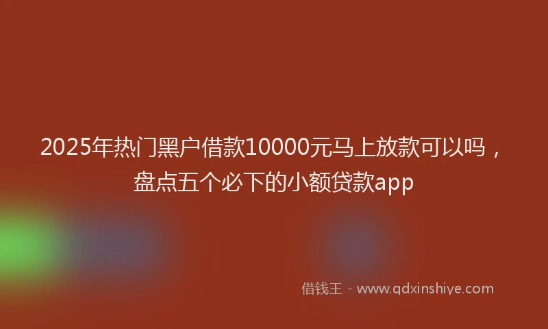 2025年热门黑户借款10000元马上放款可以吗，盘点五个必下的小额贷款app