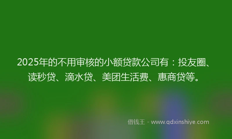 2025年的不用审核的小额贷款公司有：投友圈、读秒贷、滴水贷、美团生活费、惠商贷等。