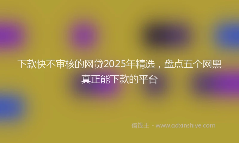 下款快不审核的网贷2025年精选，盘点五个网黑真正能下款的平台