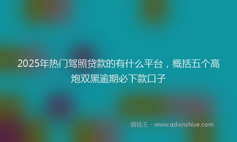 2025年热门驾照贷款的有什么平台，概括五个高炮双黑逾期必下款口子