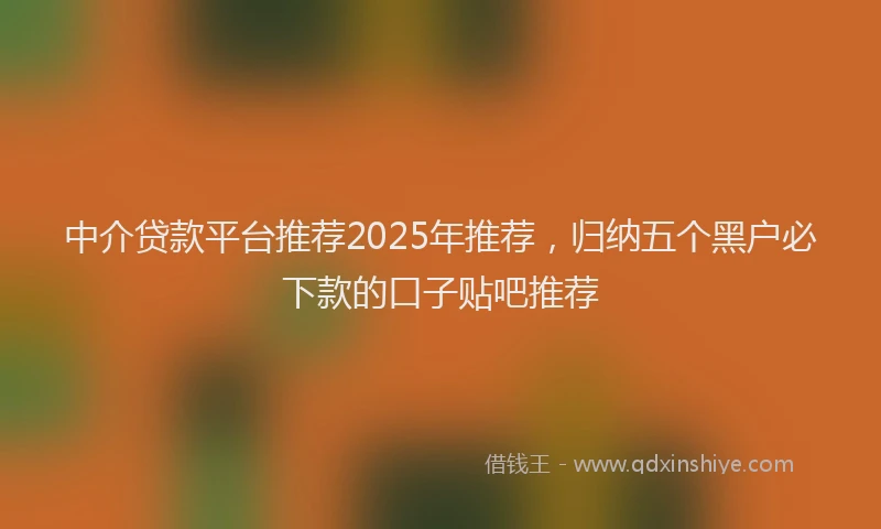 中介贷款平台推荐2025年推荐，归纳五个黑户必下款的口子贴吧推荐