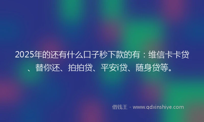 2025年的还有什么口子秒下款的有：维信卡卡贷、替你还、拍拍贷、平安i贷、随身贷等。