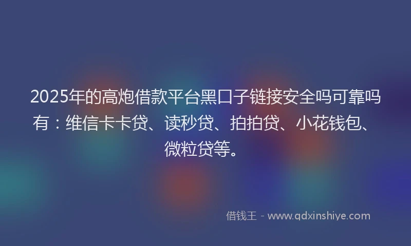 2025年的高炮借款平台黑口子链接安全吗可靠吗有：维信卡卡贷、读秒贷、拍拍贷、小花钱包、微粒贷等。