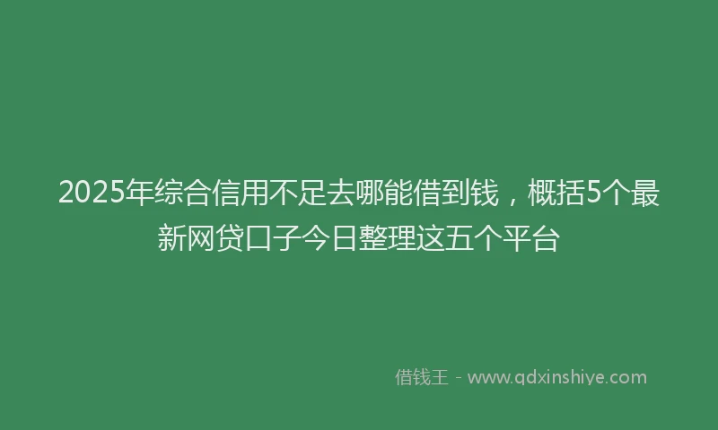 2025年综合信用不足去哪能借到钱，概括5个最新网贷口子今日整理这五个平台