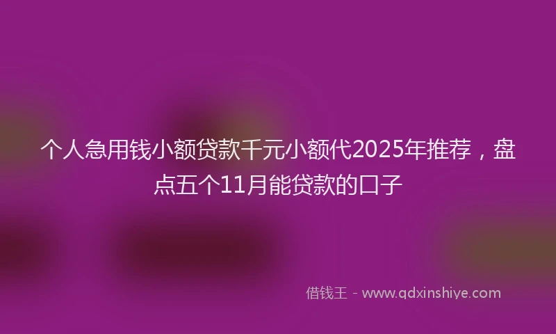 个人急用钱小额贷款千元小额代2025年推荐，盘点五个11月能贷款的口子