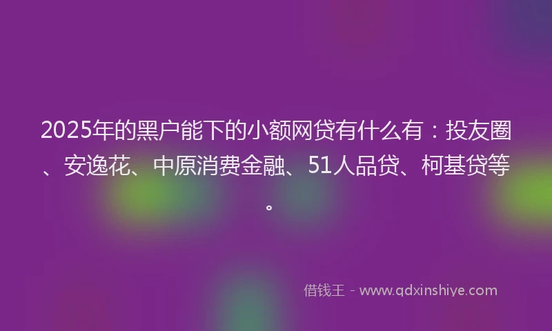 2025年的黑户能下的小额网贷有什么有：投友圈、安逸花、中原消费金融、51人品贷、柯基贷等。