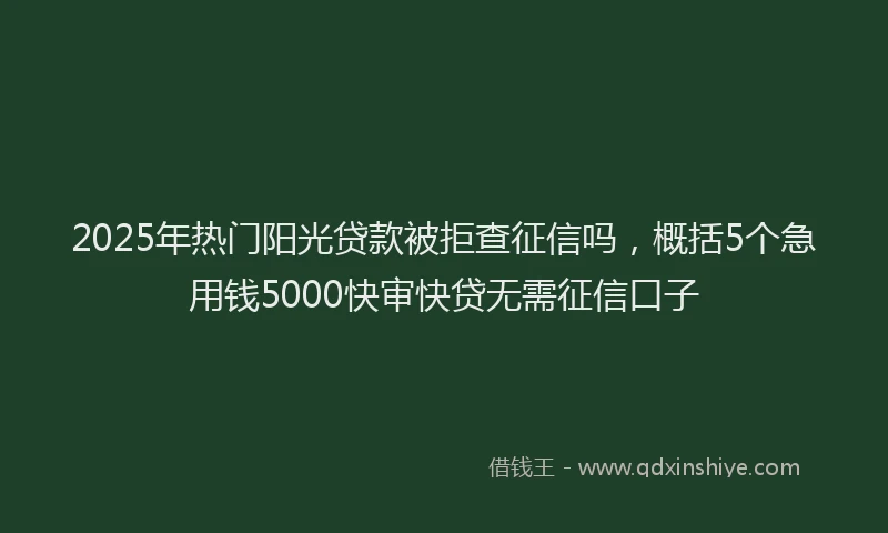 2025年热门阳光贷款被拒查征信吗，概括5个急用钱5000快审快贷无需征信口子
