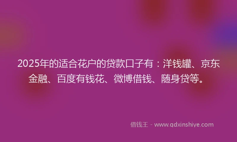 2025年的适合花户的贷款口子有：洋钱罐、京东金融、百度有钱花、微博借钱、随身贷等。