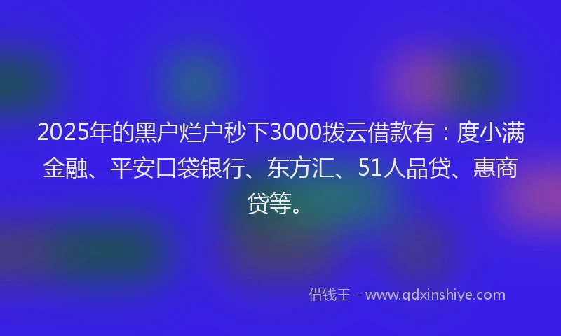 2025年的黑户烂户秒下3000拨云借款有：度小满金融、平安口袋银行、东方汇、51人品贷、惠商贷等。
