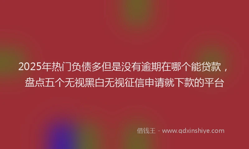2025年热门负债多但是没有逾期在哪个能贷款，盘点五个无视黑白无视征信申请就下款的平台