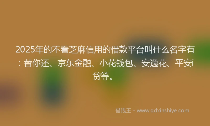 2025年的不看芝麻信用的借款平台叫什么名字有：替你还、京东金融、小花钱包、安逸花、平安i贷等。