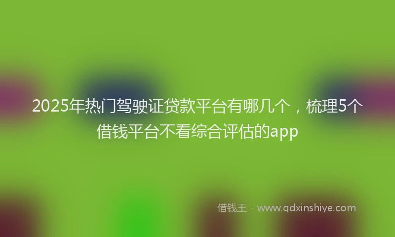 2025年热门驾驶证贷款平台有哪几个，梳理5个借钱平台不看综合评估的app