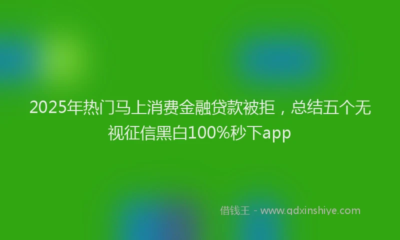 2025年热门马上消费金融贷款被拒，总结五个无视征信黑白100%秒下app