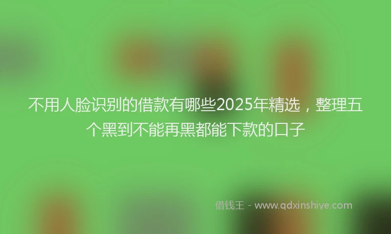 不用人脸识别的借款有哪些2025年精选，整理五个黑到不能再黑都能下款的口子