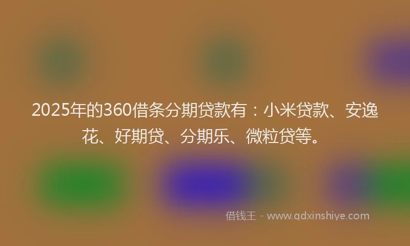 2025年的360借条分期贷款有：小米贷款、安逸花、好期贷、分期乐、微粒贷等。