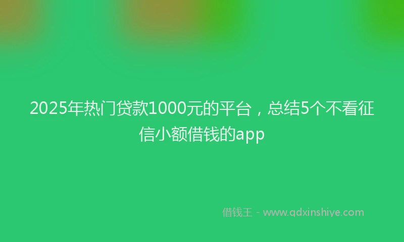 2025年热门贷款1000元的平台，总结5个不看征信小额借钱的app