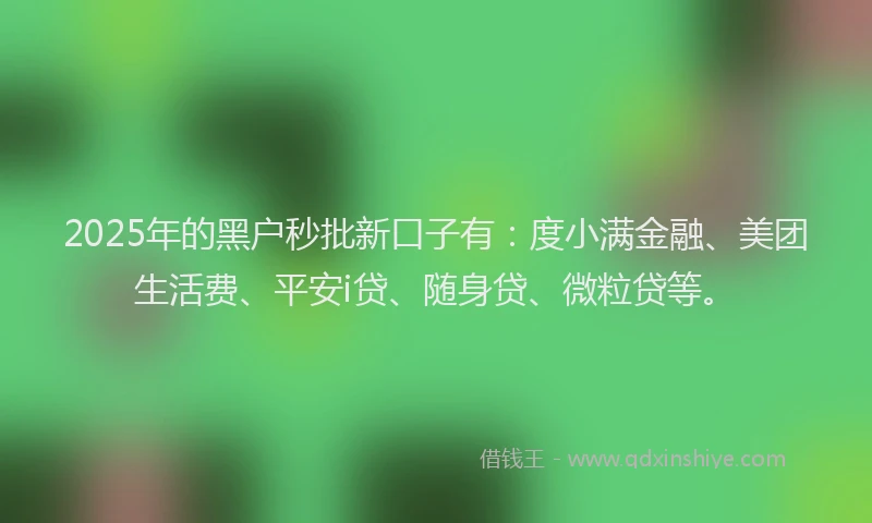 2025年的黑户秒批新口子有：度小满金融、美团生活费、平安i贷、随身贷、微粒贷等。