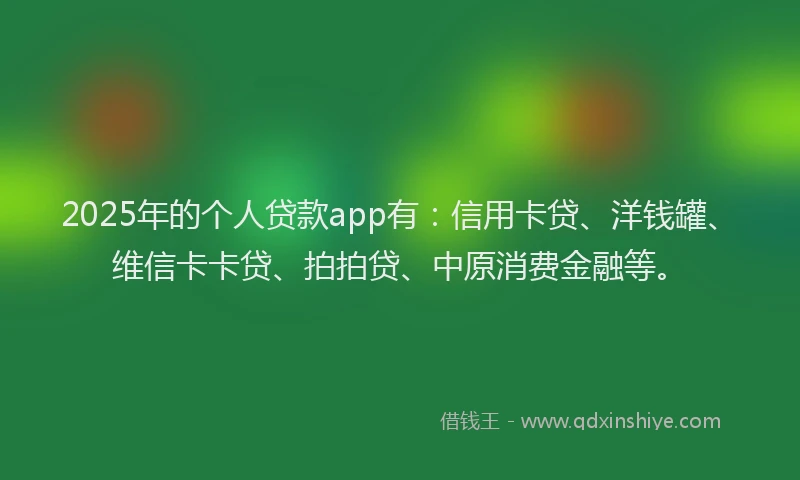 2025年的个人贷款app有：信用卡贷、洋钱罐、维信卡卡贷、拍拍贷、中原消费金融等。
