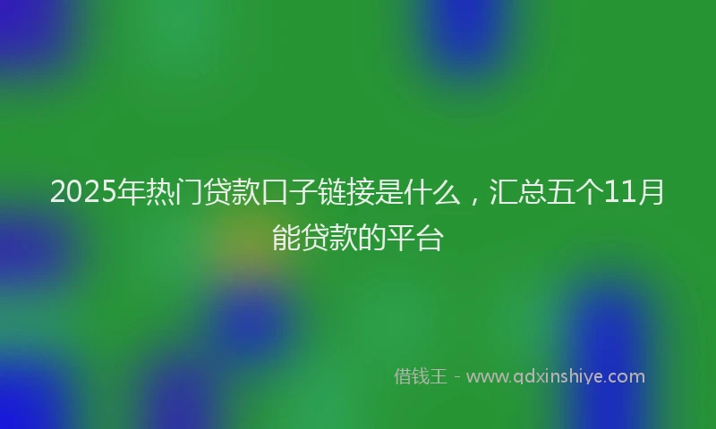 2025年热门贷款口子链接是什么，汇总五个11月能贷款的平台