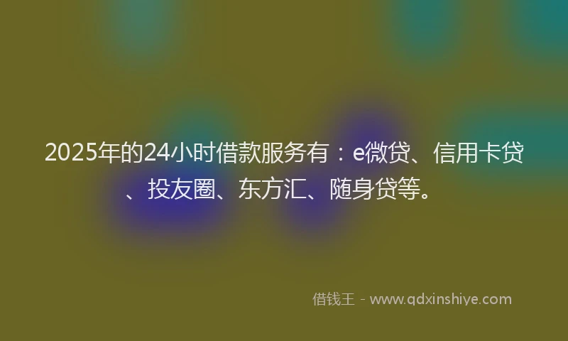 2025年的24小时借款服务有：e微贷、信用卡贷、投友圈、东方汇、随身贷等。