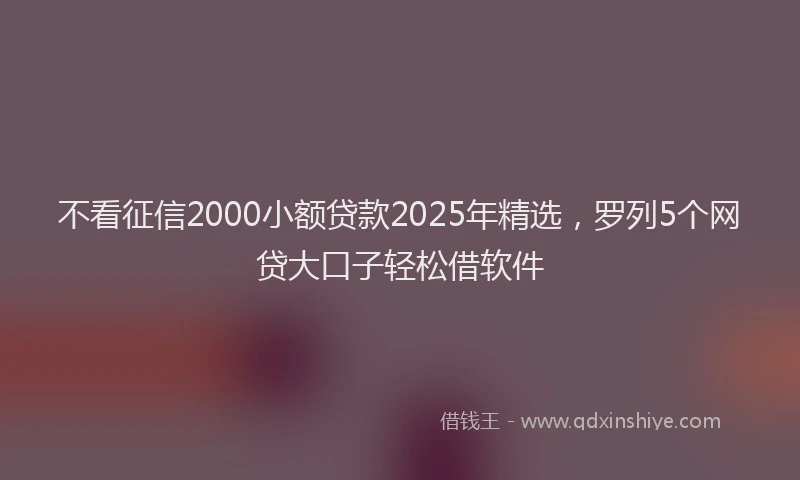 不看征信2000小额贷款2025年精选，罗列5个网贷大口子轻松借软件