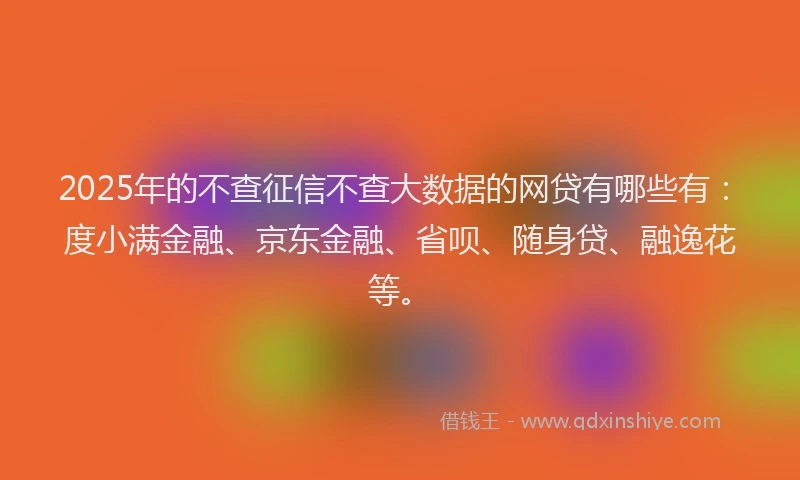 2025年的不查征信不查大数据的网贷有哪些有：度小满金融、京东金融、省呗、随身贷、融逸花等。