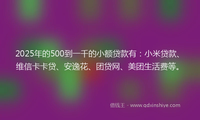 2025年的500到一千的小额贷款有：小米贷款、维信卡卡贷、安逸花、团贷网、美团生活费等。