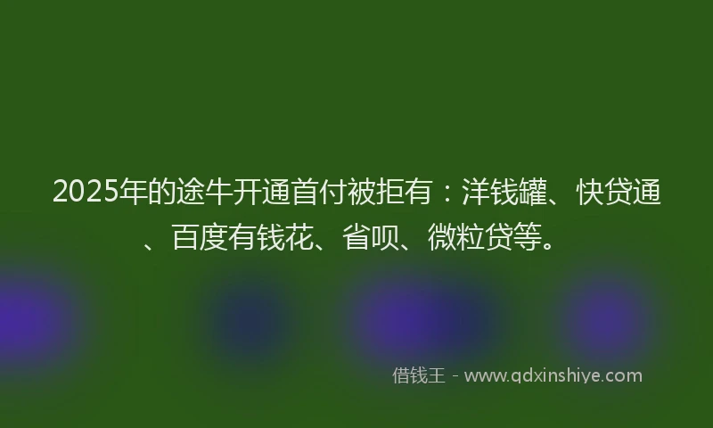 2025年的途牛开通首付被拒有：洋钱罐、快贷通、百度有钱花、省呗、微粒贷等。