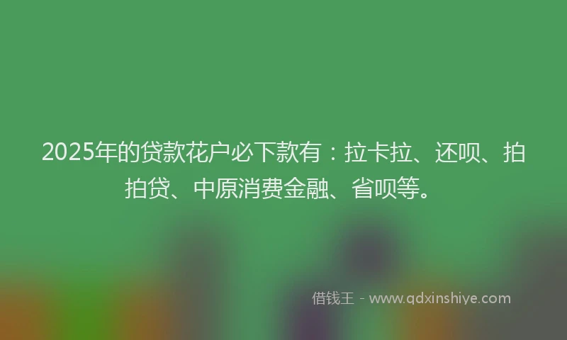2025年的贷款花户必下款有：拉卡拉、还呗、拍拍贷、中原消费金融、省呗等。