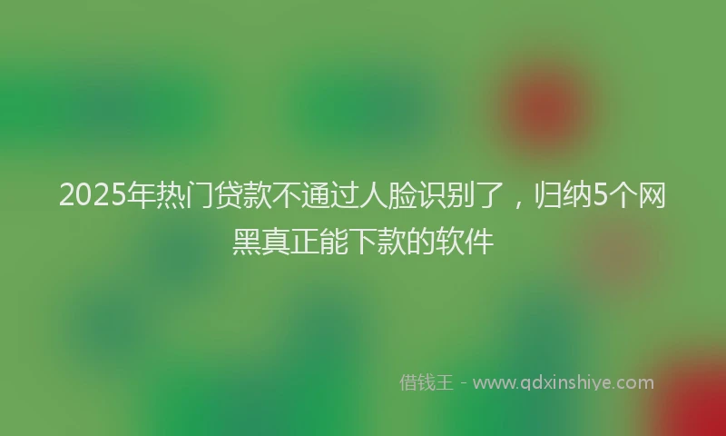 2025年热门贷款不通过人脸识别了，归纳5个网黑真正能下款的软件