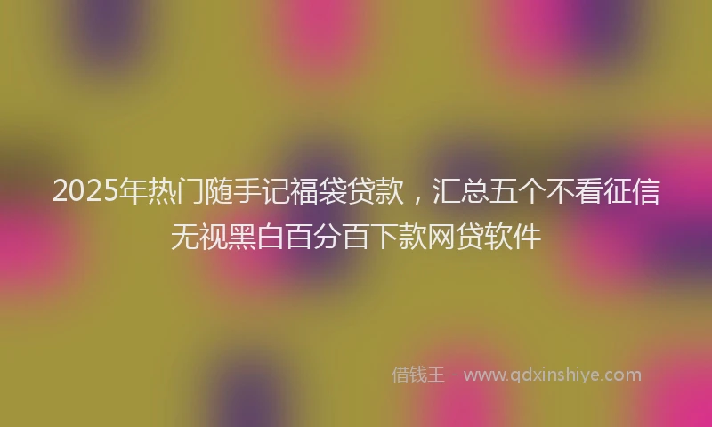 2025年热门随手记福袋贷款，汇总五个不看征信无视黑白百分百下款网贷软件