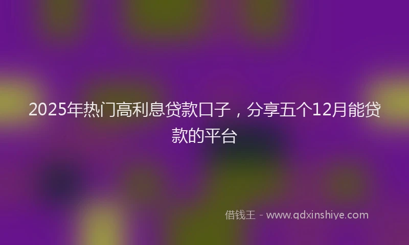 2025年热门高利息贷款口子，分享五个12月能贷款的平台