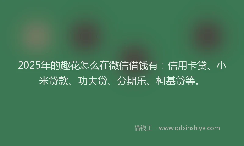2025年的趣花怎么在微信借钱有：信用卡贷、小米贷款、功夫贷、分期乐、柯基贷等。