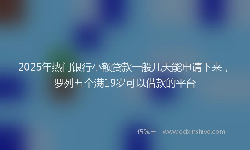 2025年热门银行小额贷款一般几天能申请下来，罗列五个满19岁可以借款的平台