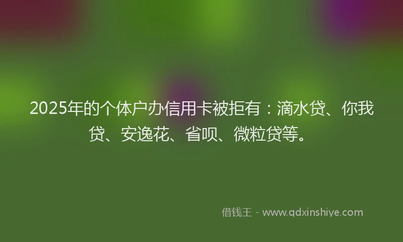 2025年的个体户办信用卡被拒有：滴水贷、你我贷、安逸花、省呗、微粒贷等。