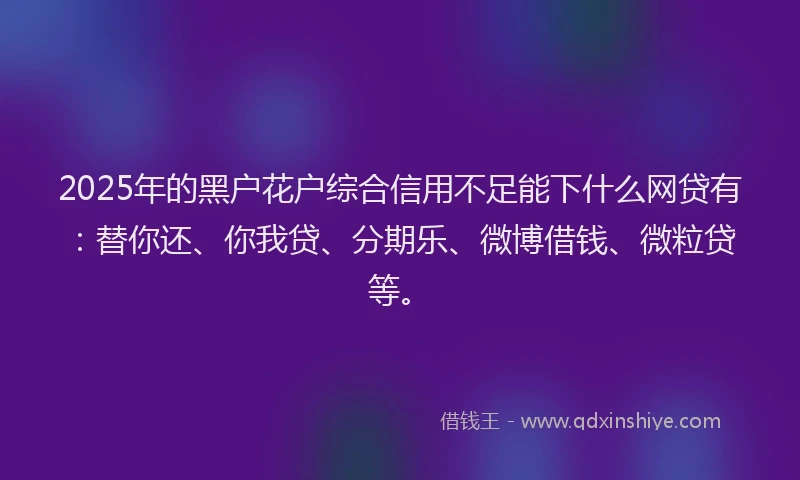 2025年的黑户花户综合信用不足能下什么网贷有：替你还、你我贷、分期乐、微博借钱、微粒贷等。