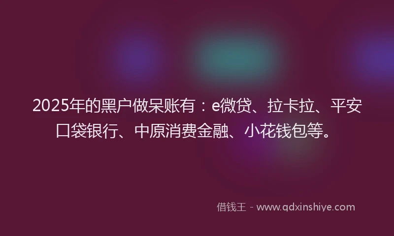 2025年的黑户做呆账有：e微贷、拉卡拉、平安口袋银行、中原消费金融、小花钱包等。