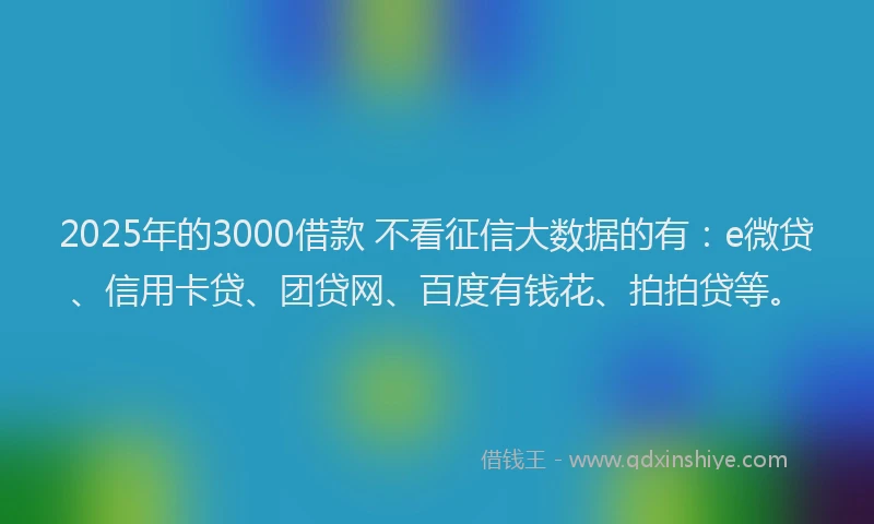 2025年的3000借款 不看征信大数据的有：e微贷、信用卡贷、团贷网、百度有钱花、拍拍贷等。