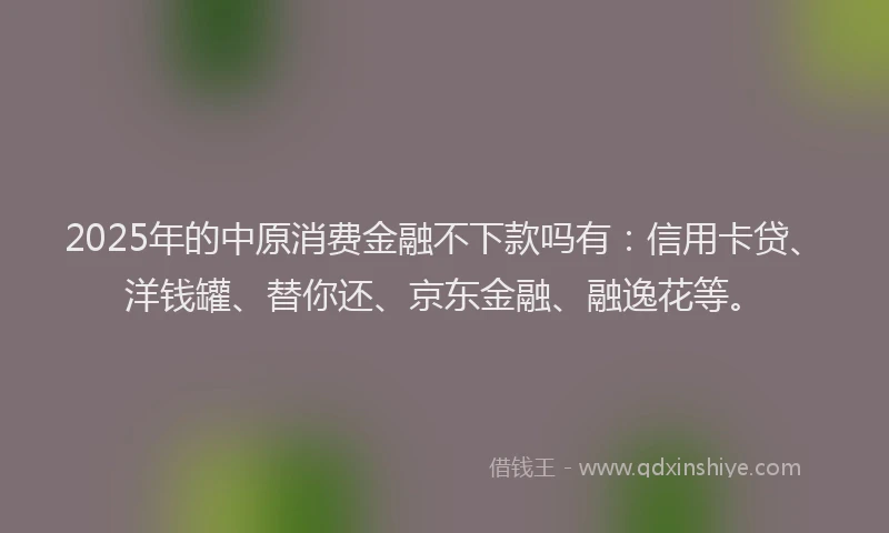 2025年的中原消费金融不下款吗有：信用卡贷、洋钱罐、替你还、京东金融、融逸花等。
