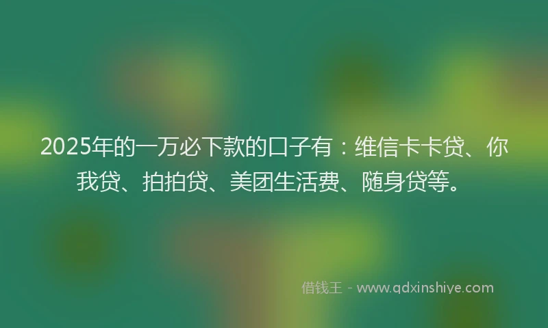 2025年的一万必下款的口子有：维信卡卡贷、你我贷、拍拍贷、美团生活费、随身贷等。