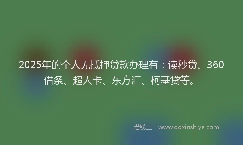 2025年的个人无抵押贷款办理有：读秒贷、360借条、超人卡、东方汇、柯基贷等。