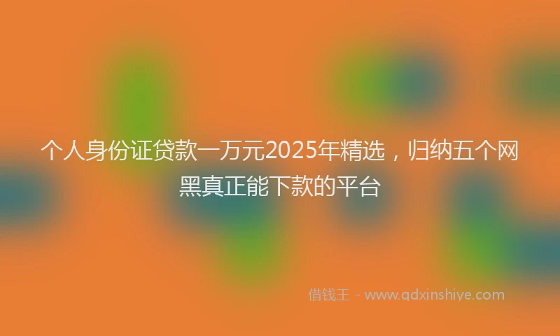 个人身份证贷款一万元2025年精选，归纳五个网黑真正能下款的平台