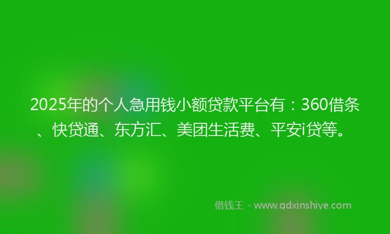 2025年的个人急用钱小额贷款平台有：360借条、快贷通、东方汇、美团生活费、平安i贷等。